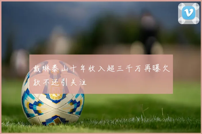 戴琳泰山十年收入超三千万再曝欠款不还引关注