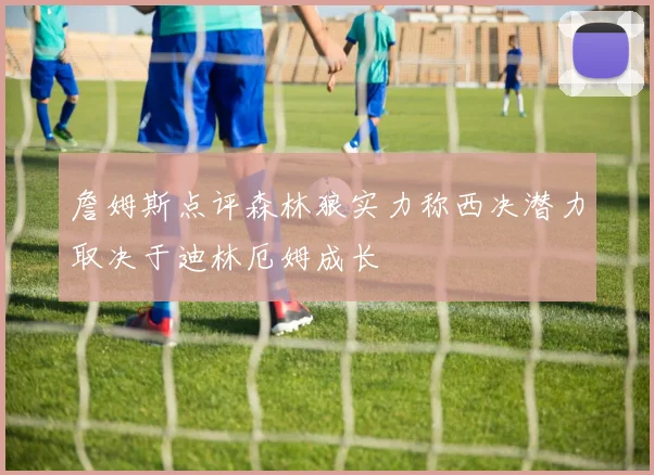 詹姆斯点评森林狼实力称西决潜力取决于迪林厄姆成长