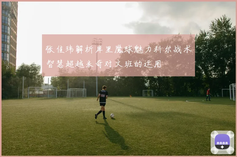 张佳玮解析库里魔球魅力科尔战术智慧超越米奇对文班的运用