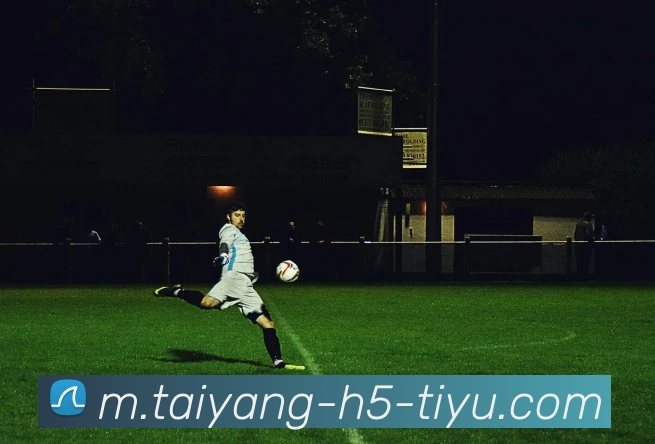 太阳城平台生态图